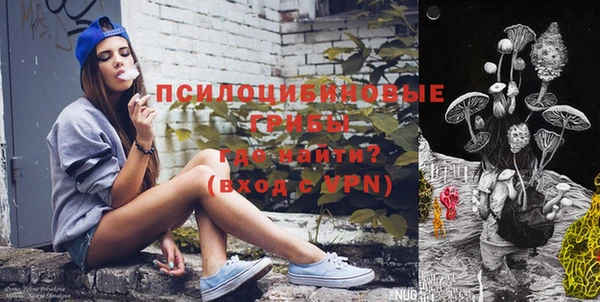 spice Медногорск