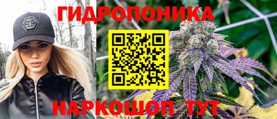 гашик Ирбит