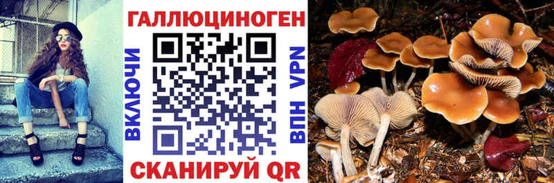 Галлюциногенные грибы GOLDEN TEACHER  Шатура 