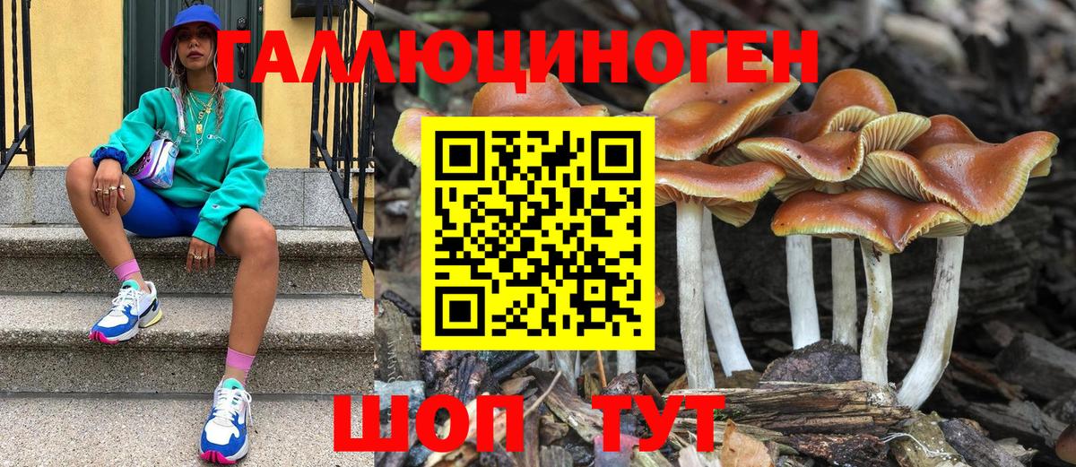 Галлюциногенные грибы Magic Shrooms Шатура